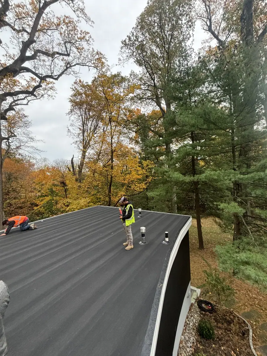 A finished dark low slope roof with a curved edge detail, autumn woods behind it