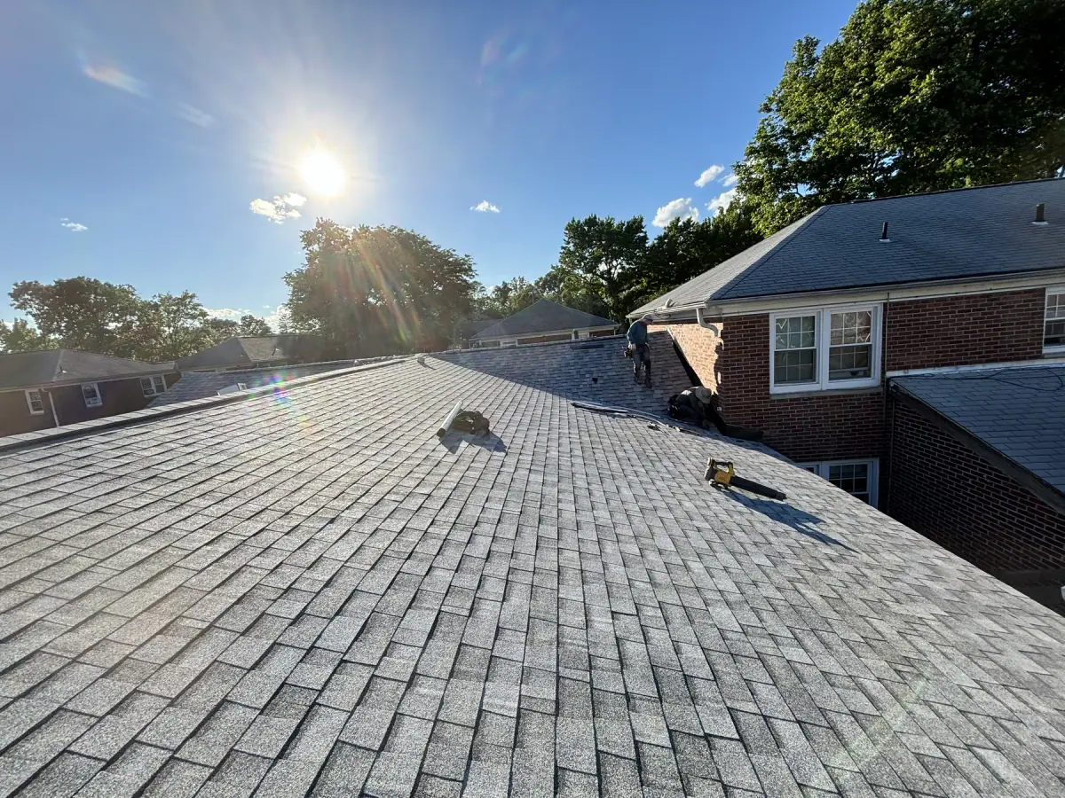 A newly shingled roof catching low sun, with trees and rooftops behind it