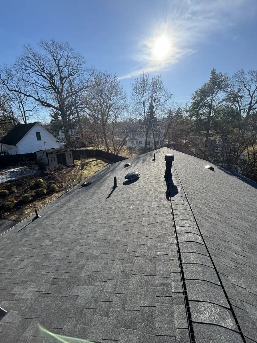 A finished shingle roof photographed from the ridge with bare winter trees behind