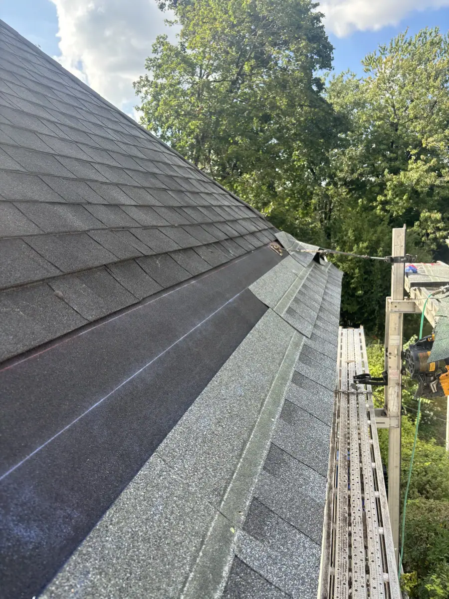 A steep dark shingle roof seen along the hip, ladders resting against the gutter