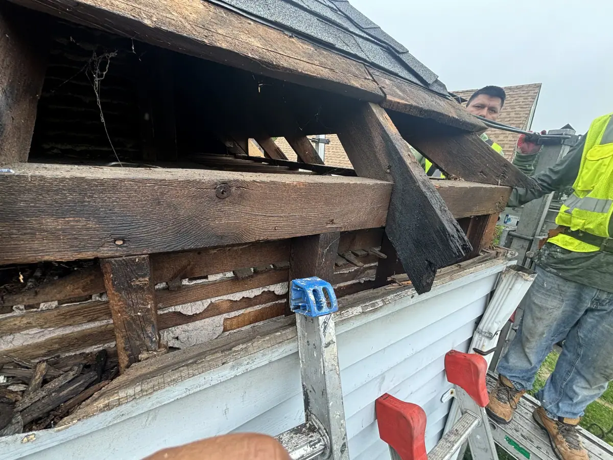 Rotted rafter tails and soffit boards exposed at the edge of a roof
