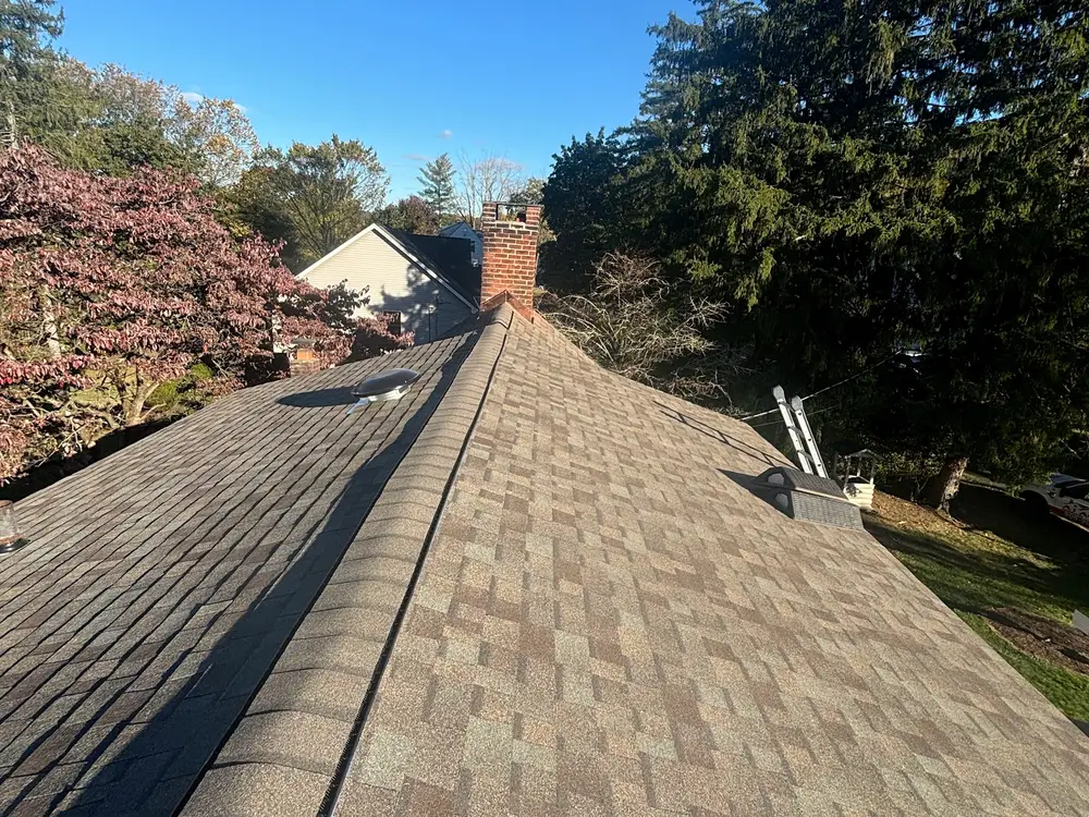A long run of new shingles along a ridge with treetops beyond